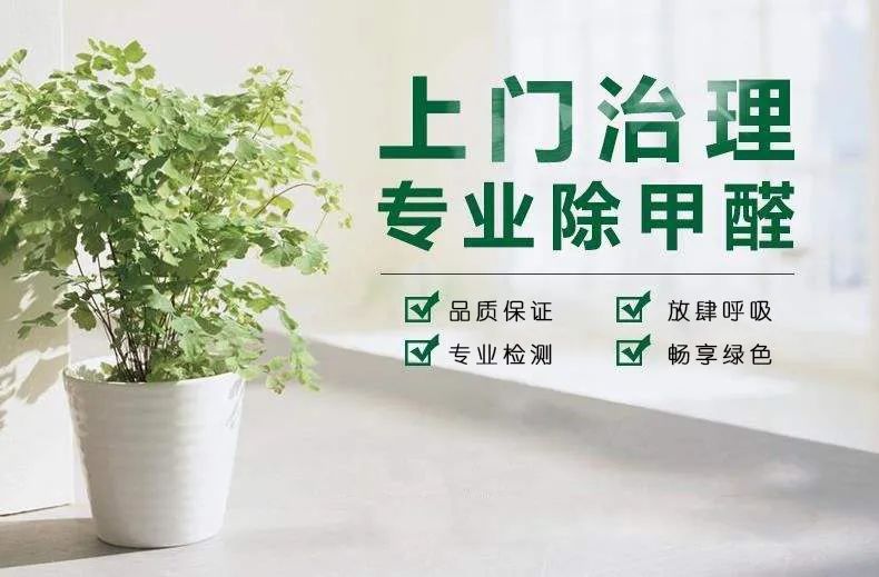 專項治理甲醛  保障環(huán)保健康